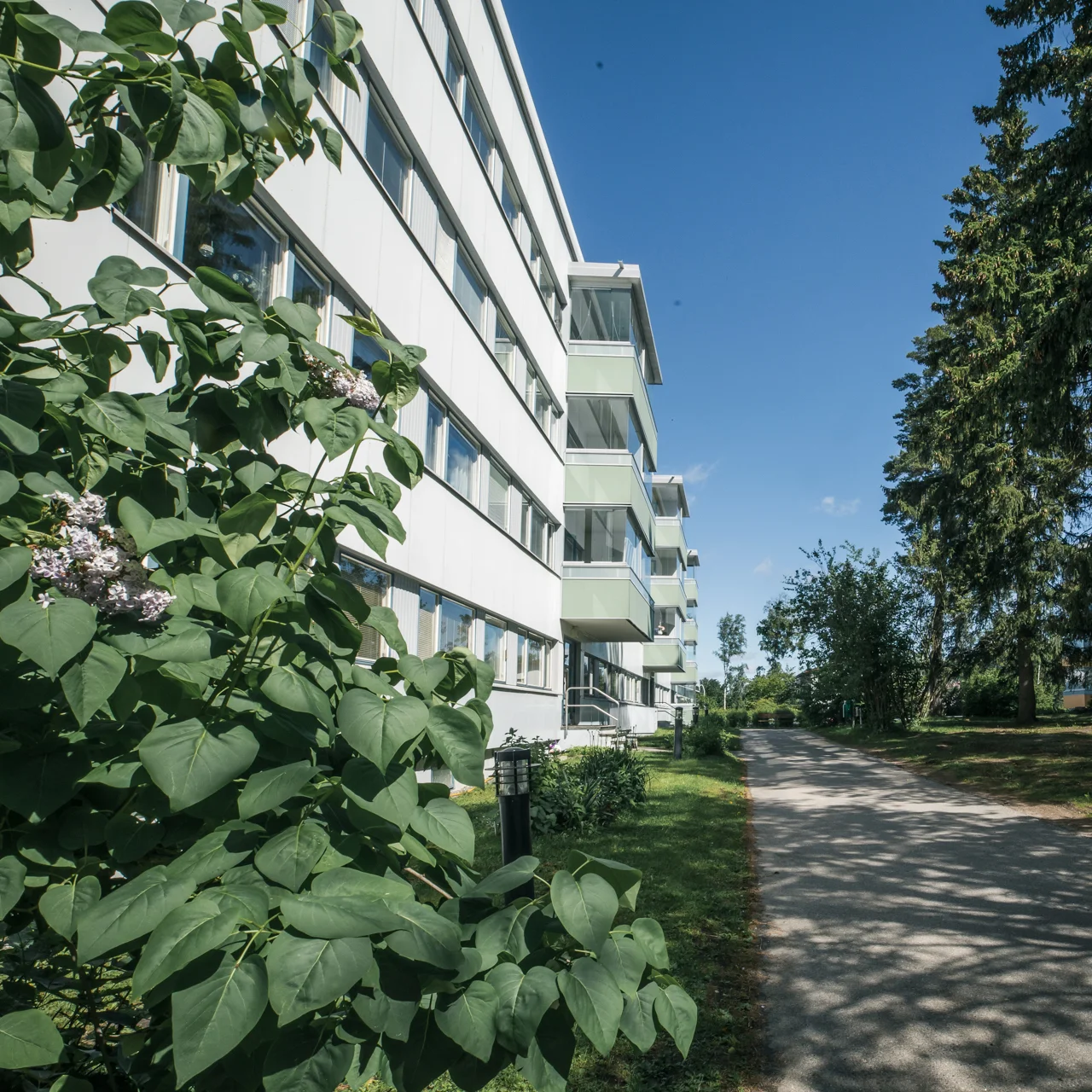 Building condition certificate
